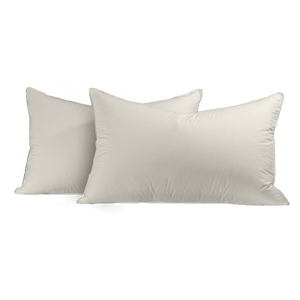 Ivory Solid Pillowcases